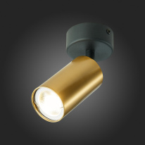 Спот ST-Luce ST303.202.01 в интернет магазине Гет Лайт