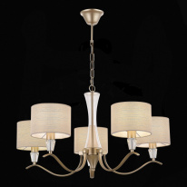 Цена на Подвесная люстра Evoluce SLE1126-203-05
