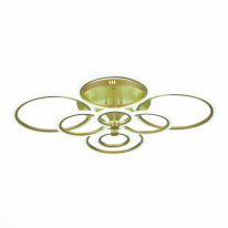 Купить Накладная люстра EVOLED SLE500522-08