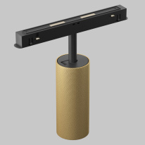 Купить с доставкой по Москве и России Светильник на шине Maytoni Technical TR097-2-12W4K-M-BMG