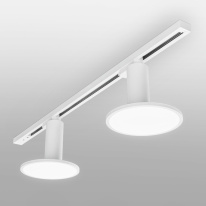 Купить с доставкой по Москве и России Светильник на шине Elektrostandard Brain Белый 12W 4200K (LTB50) однофазный