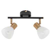Спот ARTE Lamp A3117PL-2BK Фото Спот ARTE Lamp A3117PL-2BK