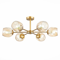 Фото Люстра на штанге Evoluce SLE155412-06