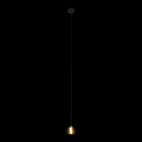 Цена на Подвесной светильник LOFT IT 10151