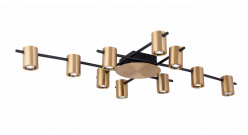 Фото Накладная люстра Moderli V4040-10C