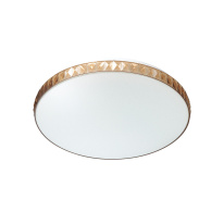 Фото Накладной светильник Sonex 2078/DL