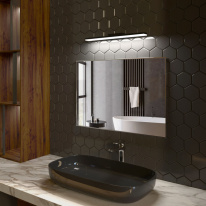 Купить Светильник для картин Elektrostandard Protect LED чёрный (MRL LED 1111)