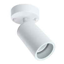 Фото Светильник настенный Feron 48323