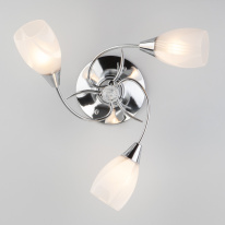 Купить Накладная люстра Eurosvet 30100/3 хром