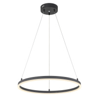 Цена на Подвесной светильник Escada 10254/1LED Black APP