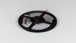 Купить Лента SWG SWG2120-24-9.6-W-65-M