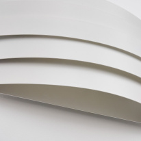 Купить с доставкой по Москве и России Бра Favourite 4122-2W