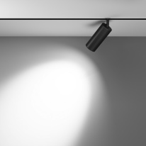 Цена на Светильник на шине Maytoni Technical TR032-2-20W3K-M-B