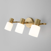 Спот Eurosvet 20089/3 бронза Фото Спот Eurosvet 20089/3 бронза