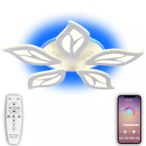 Фото Накладная люстра Natali Kovaltseva LED LAMPS 81155