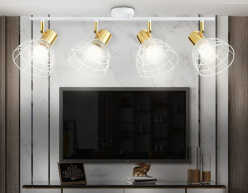 Купить с доставкой по Москве и России Спот Ambrella Light TR8603