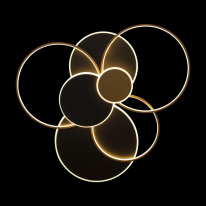 Купить с доставкой по Москве и России Накладная люстра LOFT IT 10163 Black