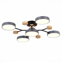 Фото Люстра на штанге Evoluce SLE6006-702-05