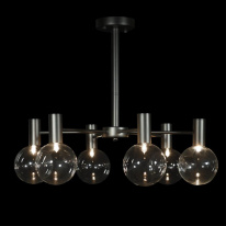 Купить с доставкой по Москве и России Люстра на штанге LOFT IT 10045/6 Black