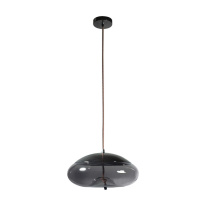 Подвесной светильник LOFT IT 8134-D Фото Подвесной светильник LOFT IT 8134-D