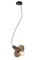 Фото Подвесной светильник Vele Luce VL5892P11