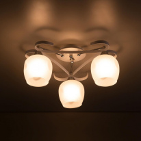 Накладная люстра Citilux CL171133 в интернет магазине Гет Лайт