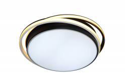 Купить Накладной светильник Natali Kovaltseva 81038/5C