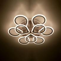 Купить с доставкой по Москве и России Накладная люстра Citilux CL235A195E