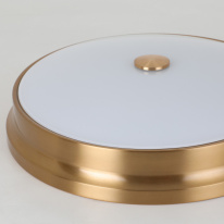 Купить с доставкой по Москве и России Накладной светильник Favourite 2375-3C