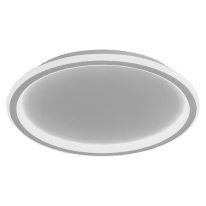 Купить с доставкой по Москве и России Накладной светильник Feron 41558