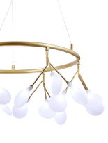 Купить Подвесная люстра Natali Kovaltseva GRACE 75125/6С GOLD SATIN