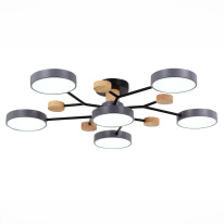 Цена на Люстра на штанге Evoluce SLE6006-702-06