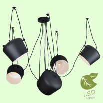 Подвесной светильник Lussole GRLSP-9919 Фото Подвесной светильник Lussole GRLSP-9919