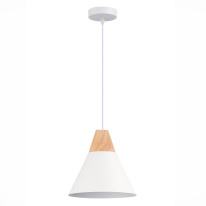 Купить с доставкой по Москве и России Подвесной светильник Evoluce SLE125103-01