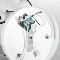 Цена на Спот Lussole LSP-8803