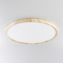 Купить  Citilux CL738322V