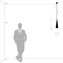 Купить Подвесной светильник Lightstar 804011