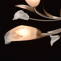 Купить Накладная люстра MW-Light 242016205