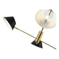 Купить Люстра на штанге Evoluce SLE1253-343-04