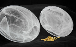 Купить с доставкой по Москве и России Подвесная люстра Lussole LSP-8598