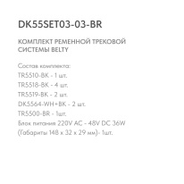 Трек-система Denkirs DK55SET03-03-BR в интернет магазине Гет Лайт