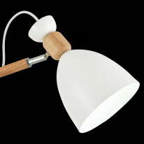 Купить с доставкой по Москве и России Люстра на штанге Evoluce SLE103802-03