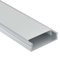 Купить с доставкой по Москве и России Профиль Maytoni Technical ALM002S-2M