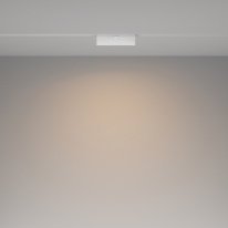 Купить Светильник на шине Maytoni Technical TR036-4-12WTW-DD-W