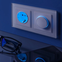 Купить Диммеры Werkel W1142101