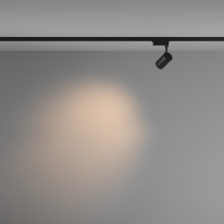 Цена на Светильник на шине Maytoni Technical TR003-1-6W3K-M-B