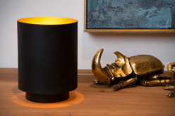 Купить Настольная лампа LUCIDE 45588/01/30