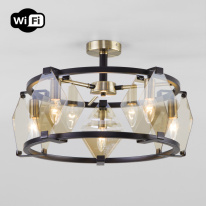 Фото Люстра на штанге Eurosvet 60126/5 черный Smart (60116/5)