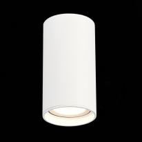 Купить Влагозащищенный светильник ST-Luce ST157.532.15