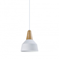 Фото Подвесной светильник Moderli V1561-1P